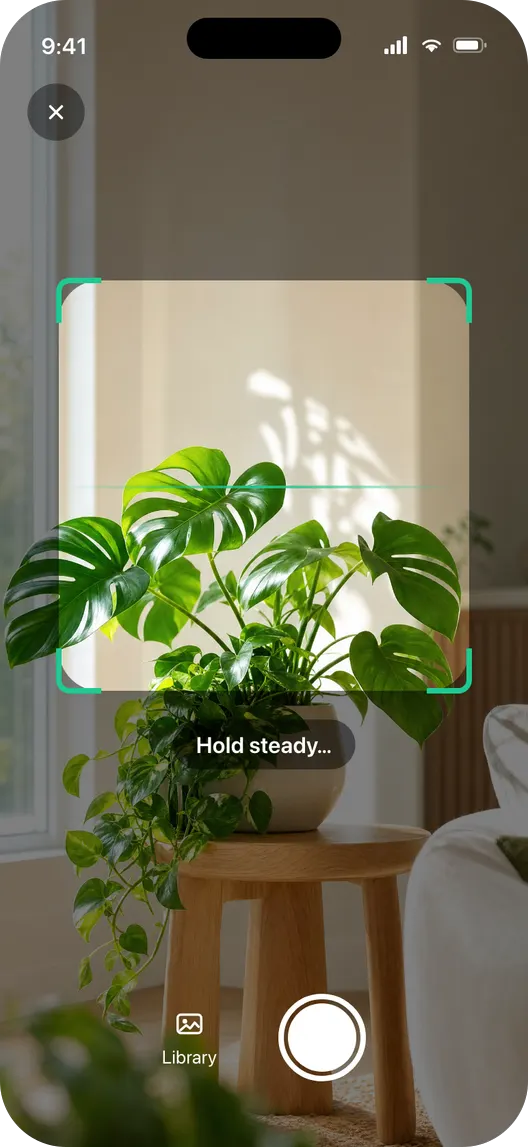 The scanner, framing a houseplant
