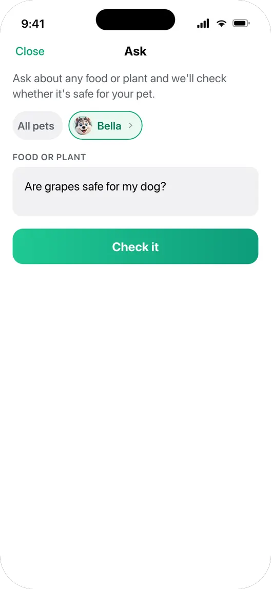 Typing a question instead of taking a photo